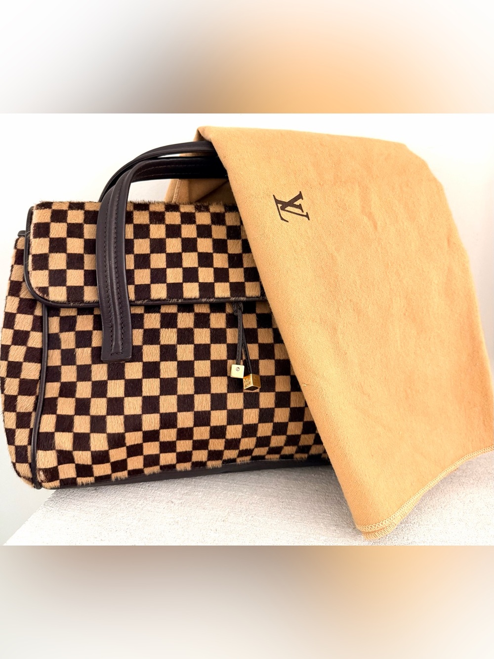 LOUIS VUITTON Damier Sauvage Lion M92131 Calf Hair Handbag Rare - Picture 16 of 16